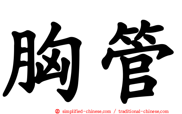 胸管】 xiongguan / Xiong1Guan3 / xiong guan