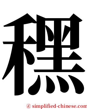 䆀 serif font