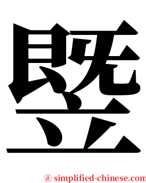 䇒 serif font