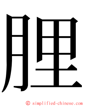 䤚 ming font