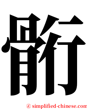 䯒 serif font