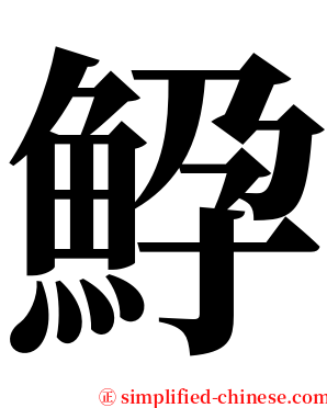 䱆 serif font