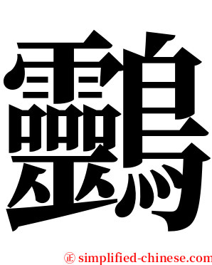 䴒 serif font