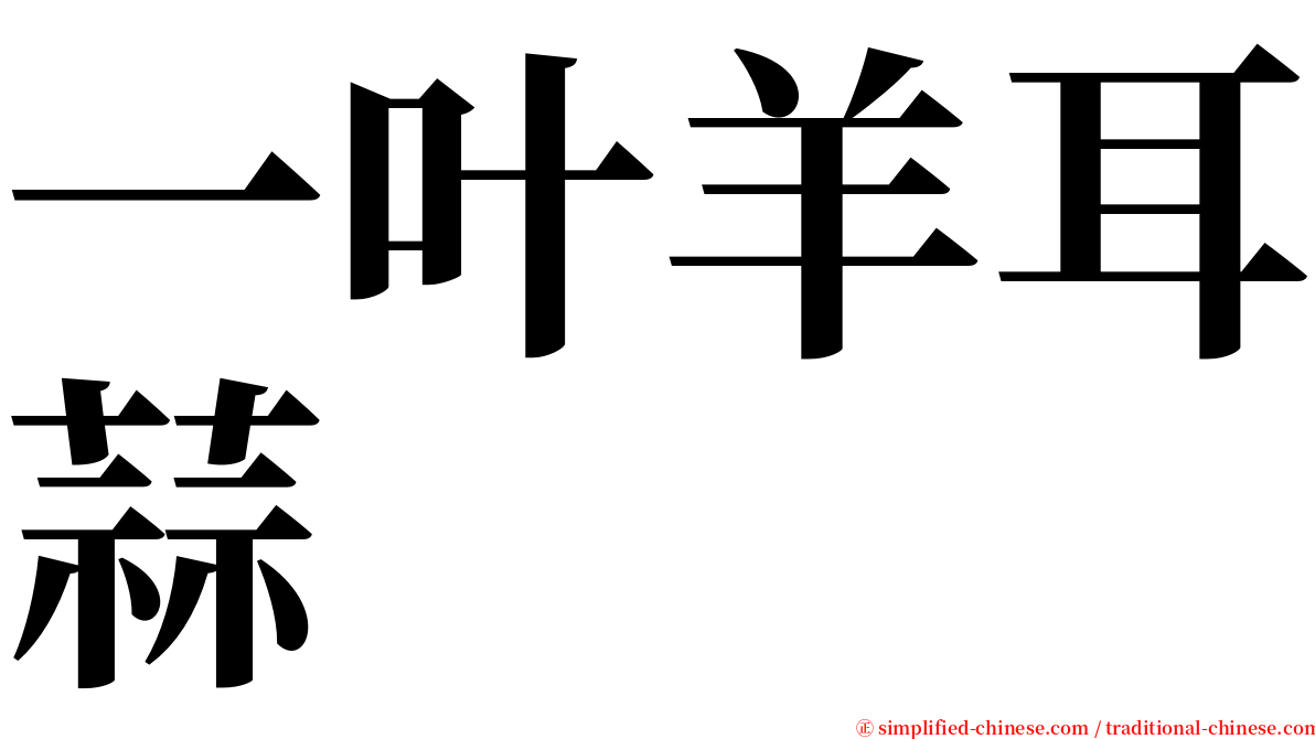 一叶羊耳蒜 serif font