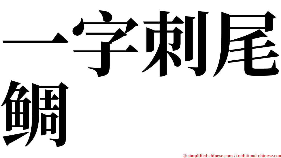 一字刺尾鲷 serif font