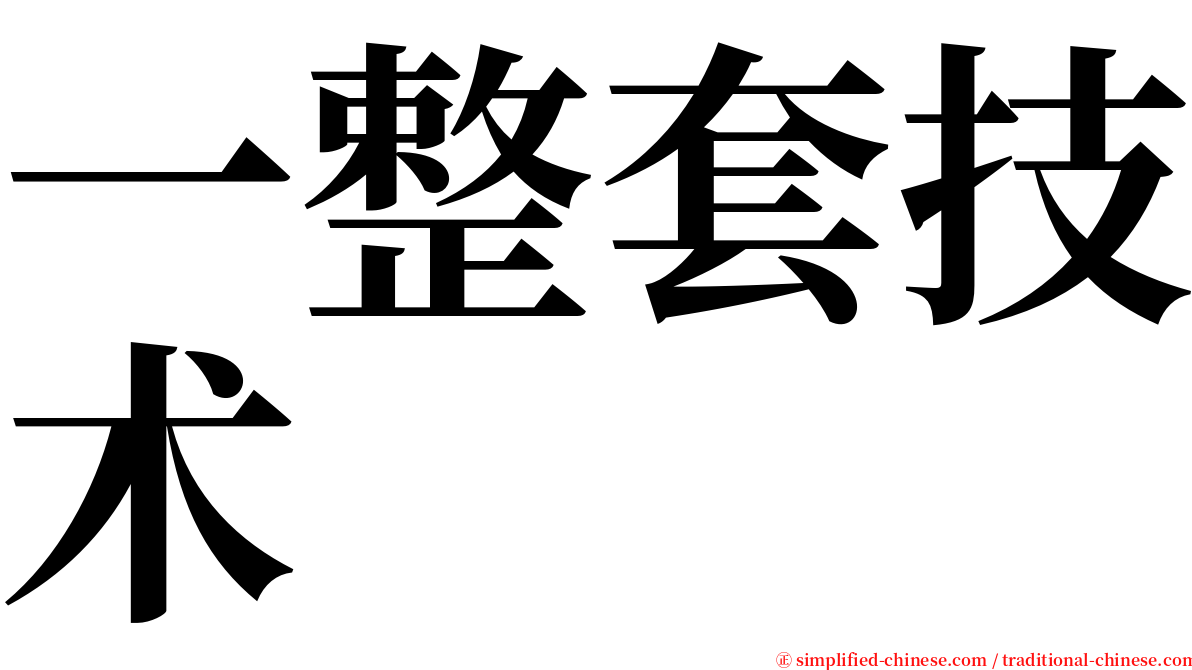 一整套技术 serif font