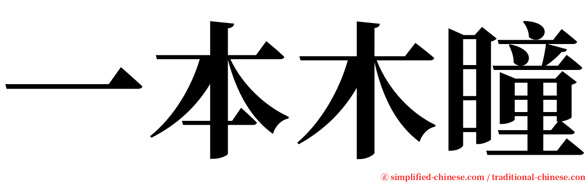 一本木瞳 serif font