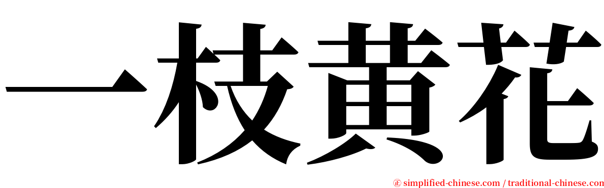 一枝黄花 serif font