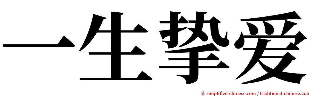 一生挚爱 serif font