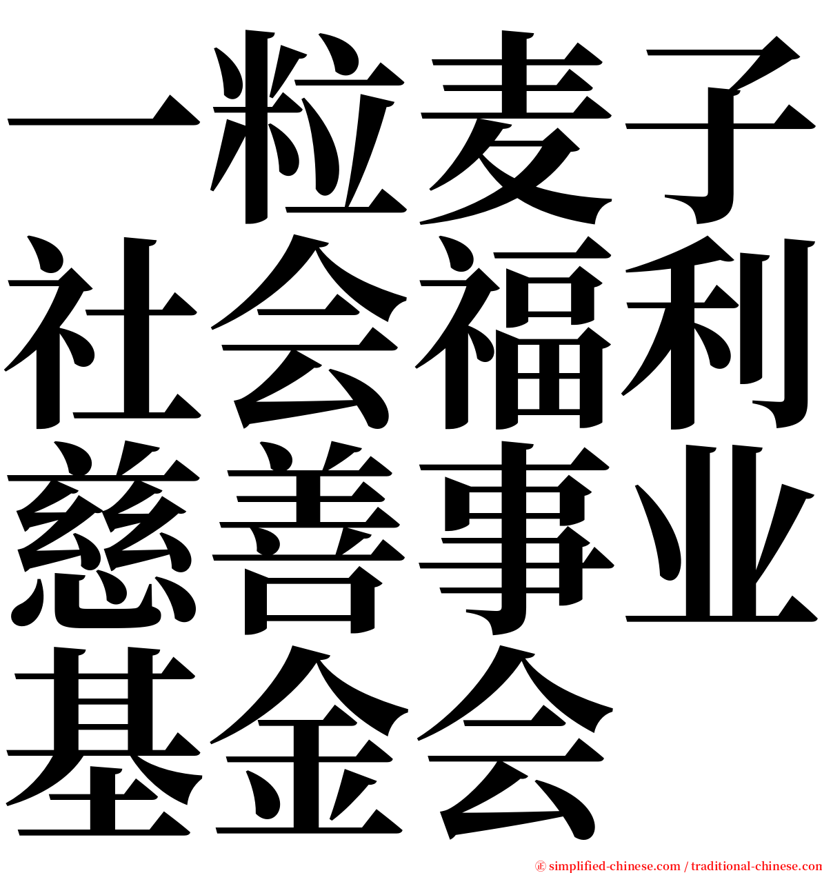 一粒麦子社会福利慈善事业基金会 serif font