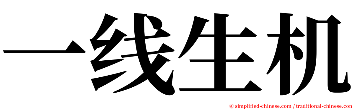 一线生机 serif font