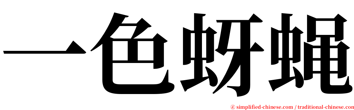 一色蚜蝇 serif font