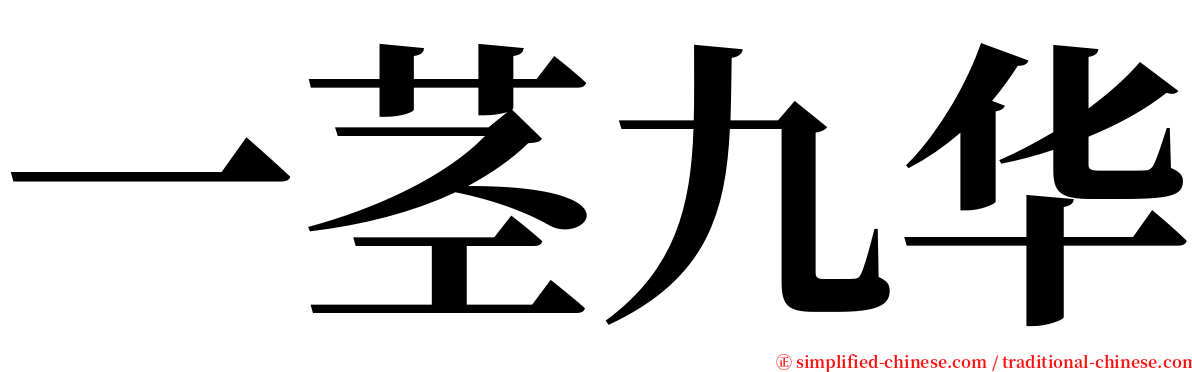 一茎九华 serif font