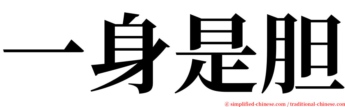 一身是胆 serif font