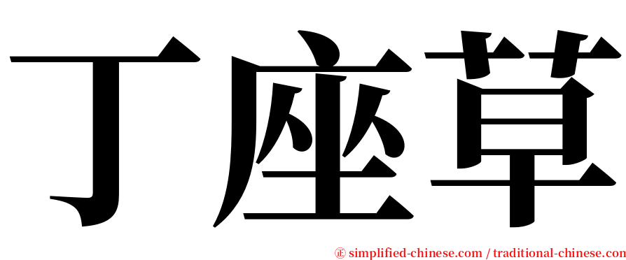 丁座草 serif font