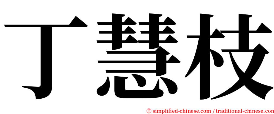 丁慧枝 serif font