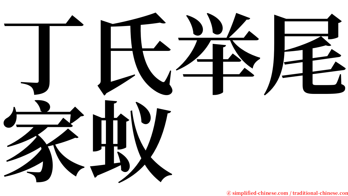 丁氏举尾家蚁 serif font