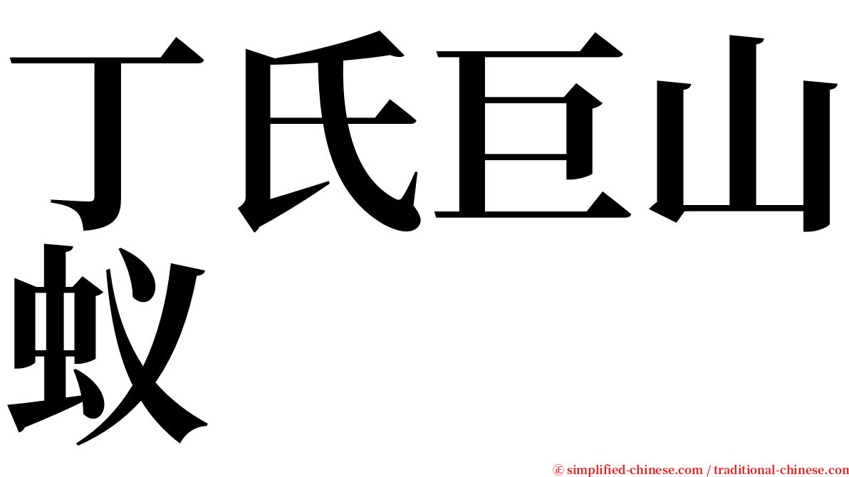 丁氏巨山蚁 serif font