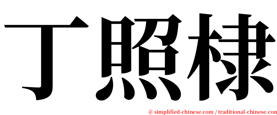 丁照棣 serif font