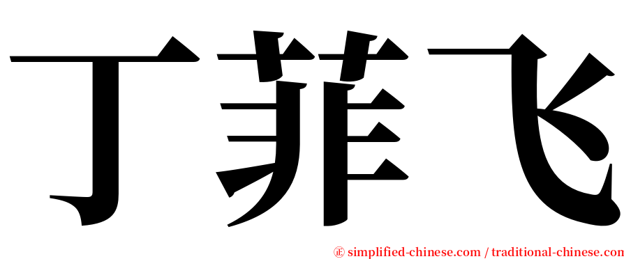 丁菲飞 serif font