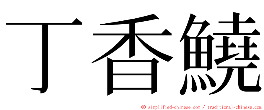 丁香鱙 ming font