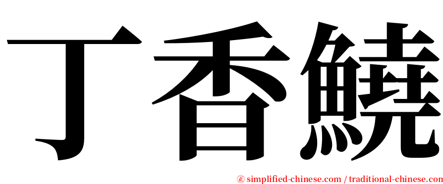 丁香鱙 serif font