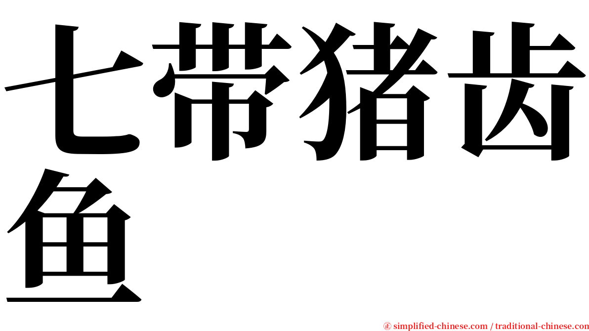 七带猪齿鱼 serif font