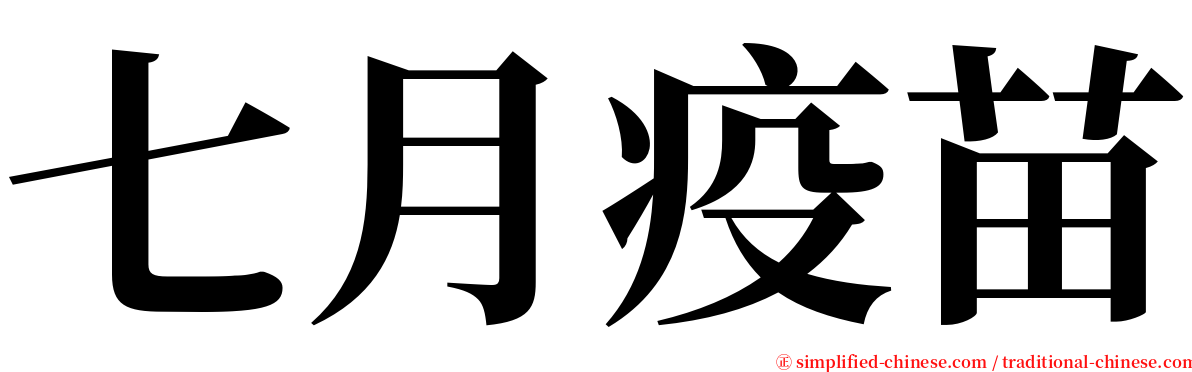 七月疫苗 serif font