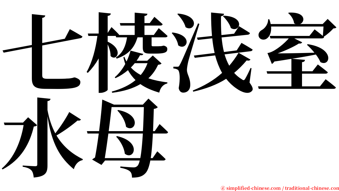 七棱浅室水母 serif font