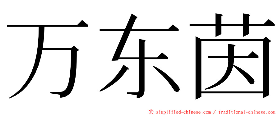 万东茵 ming font