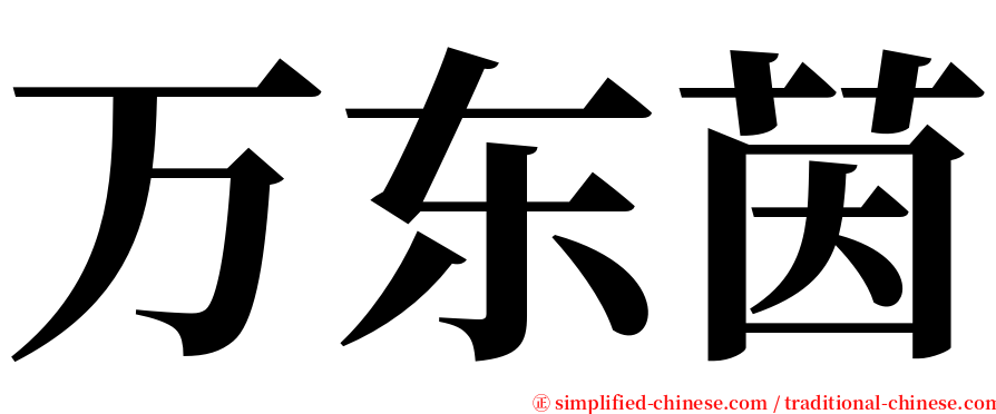 万东茵 serif font