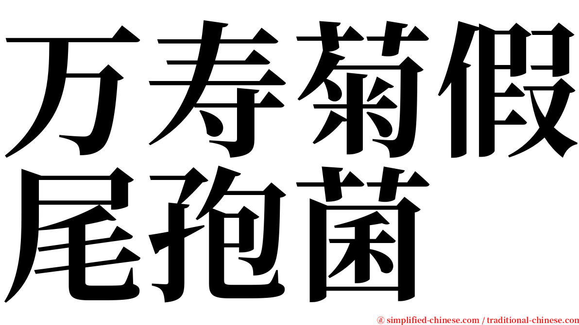 万寿菊假尾孢菌 serif font