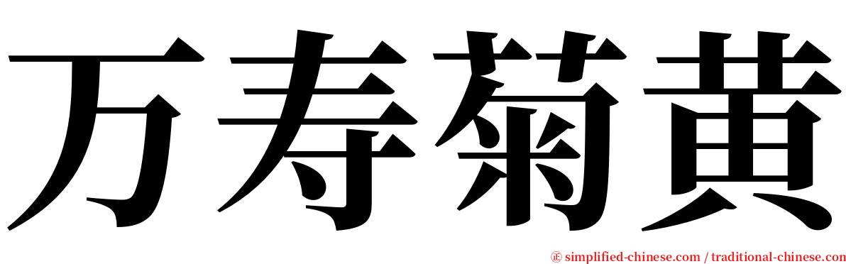 万寿菊黄 serif font