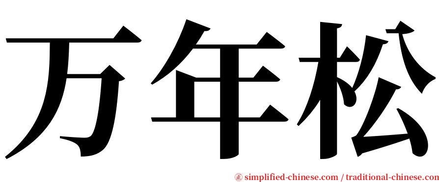 万年松 serif font