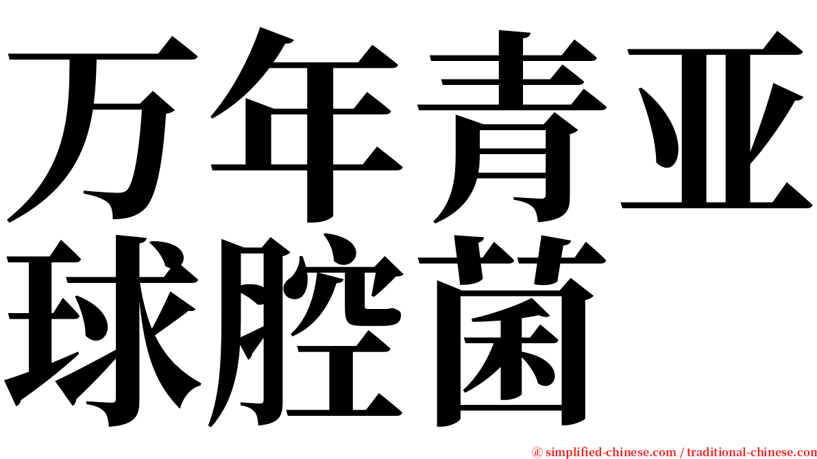 万年青亚球腔菌 serif font