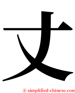 丈 serif font