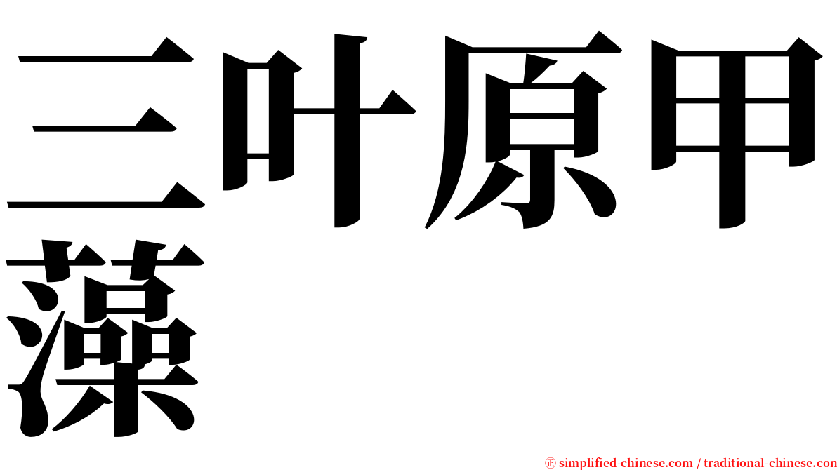 三叶原甲藻 serif font