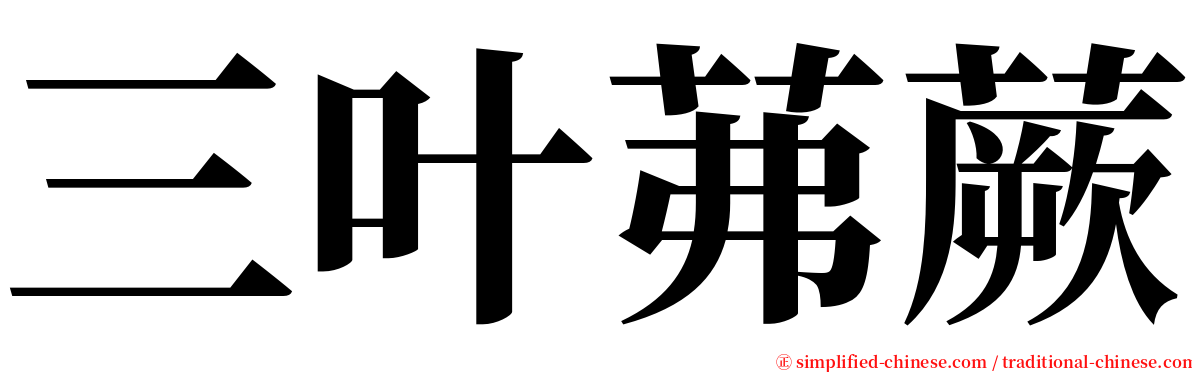 三叶茀蕨 serif font