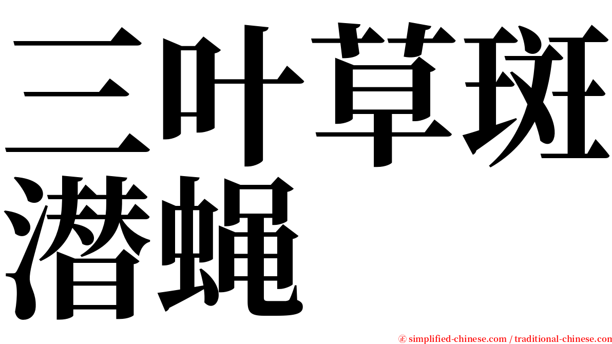 三叶草斑潜蝇 serif font