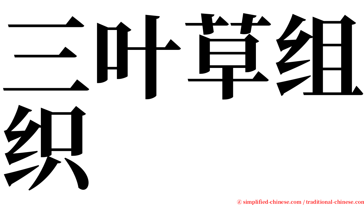 三叶草组织 serif font