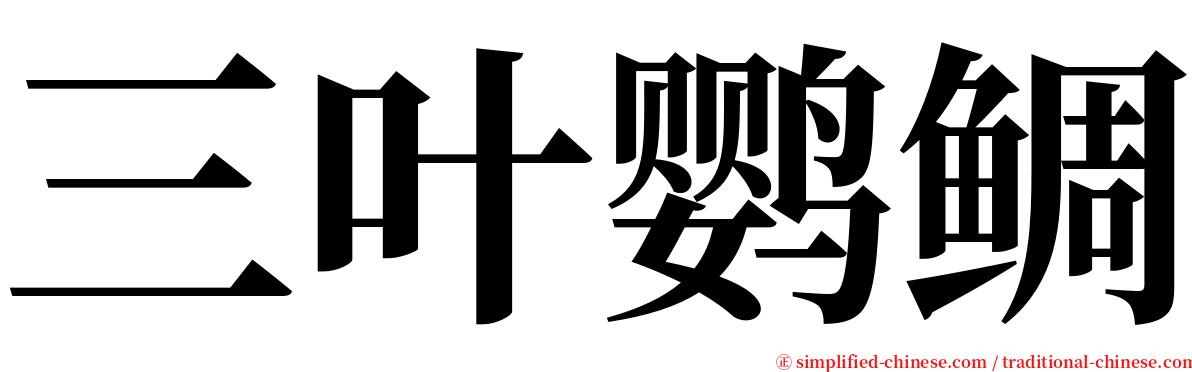 三叶鹦鲷 serif font