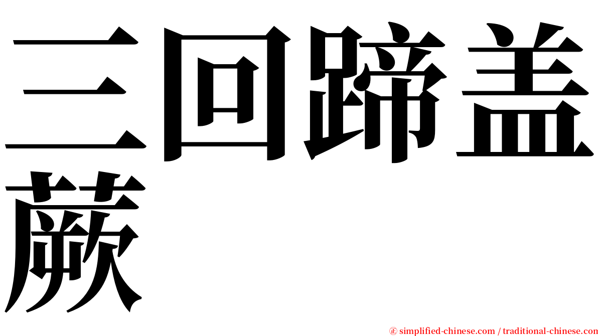 三回蹄盖蕨 serif font