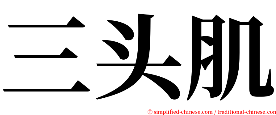 三头肌 serif font