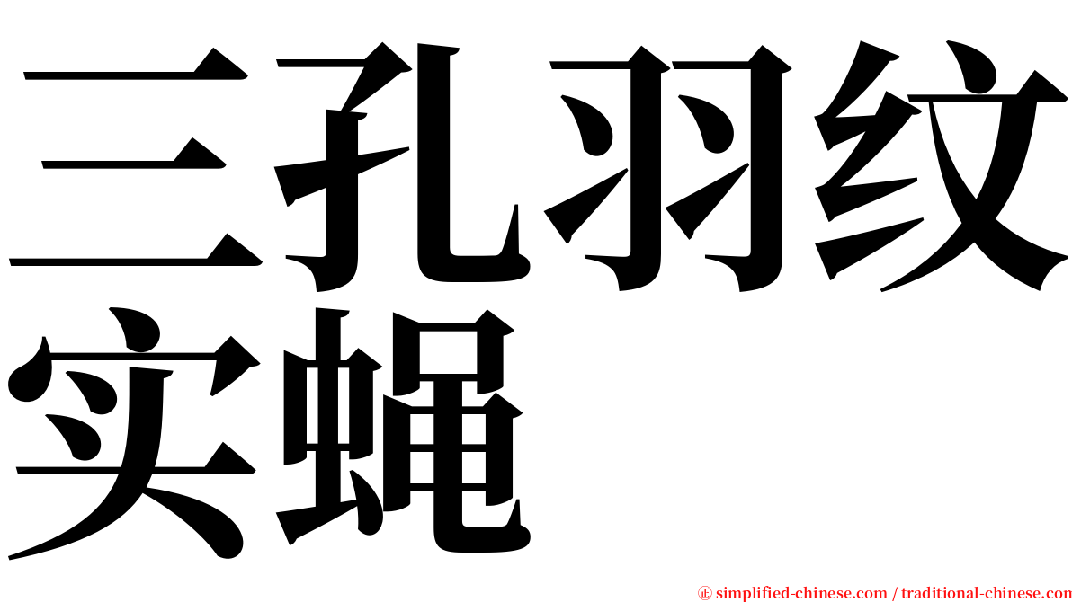 三孔羽纹实蝇 serif font