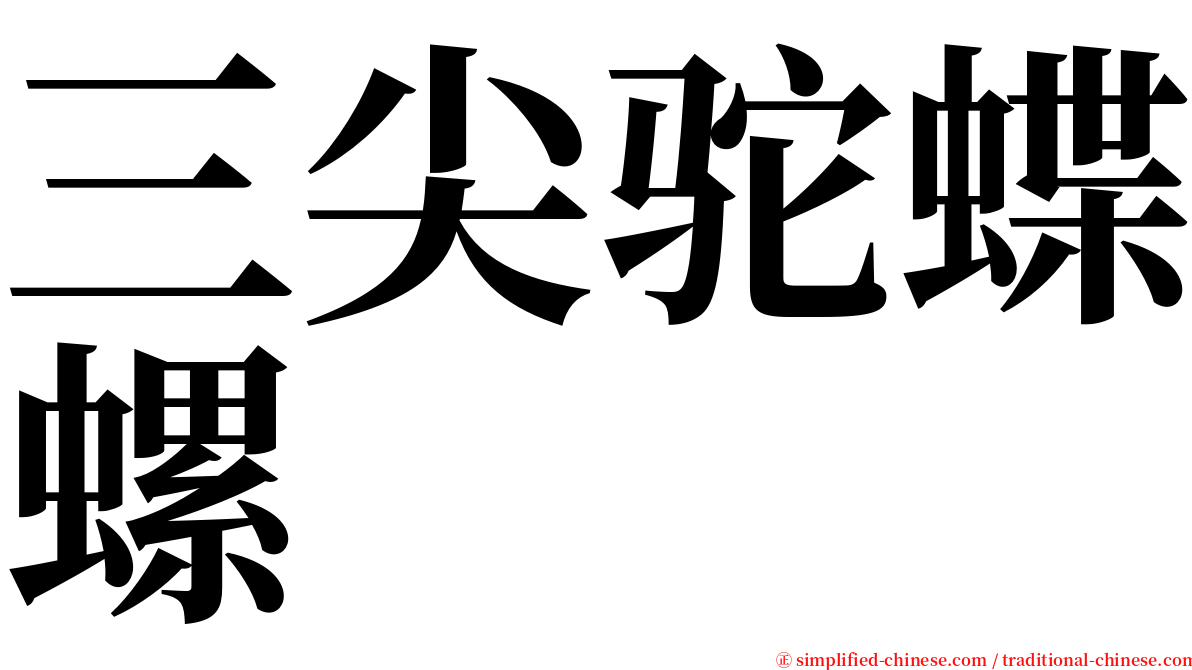 三尖驼蝶螺 serif font