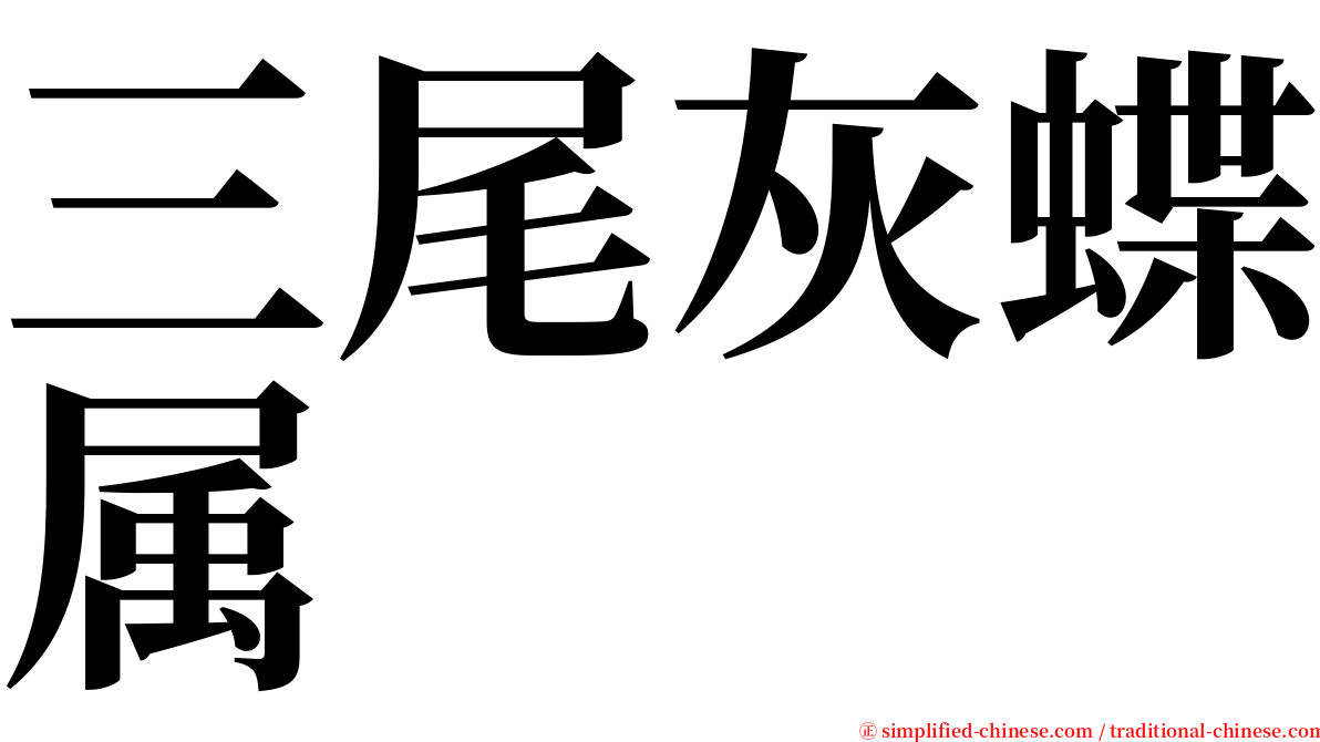 三尾灰蝶属 serif font