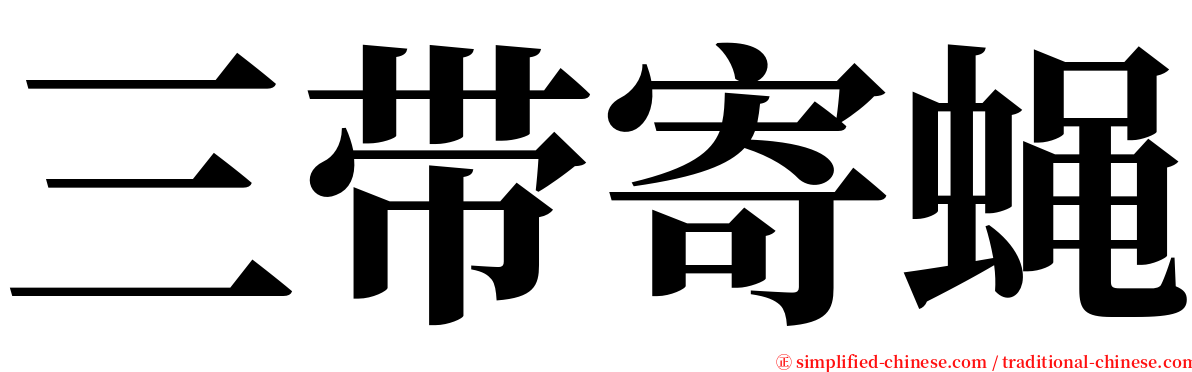 三带寄蝇 serif font