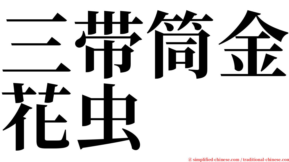 三带筒金花虫 serif font