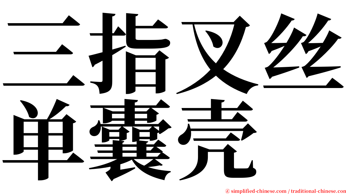 三指叉丝单囊壳 serif font