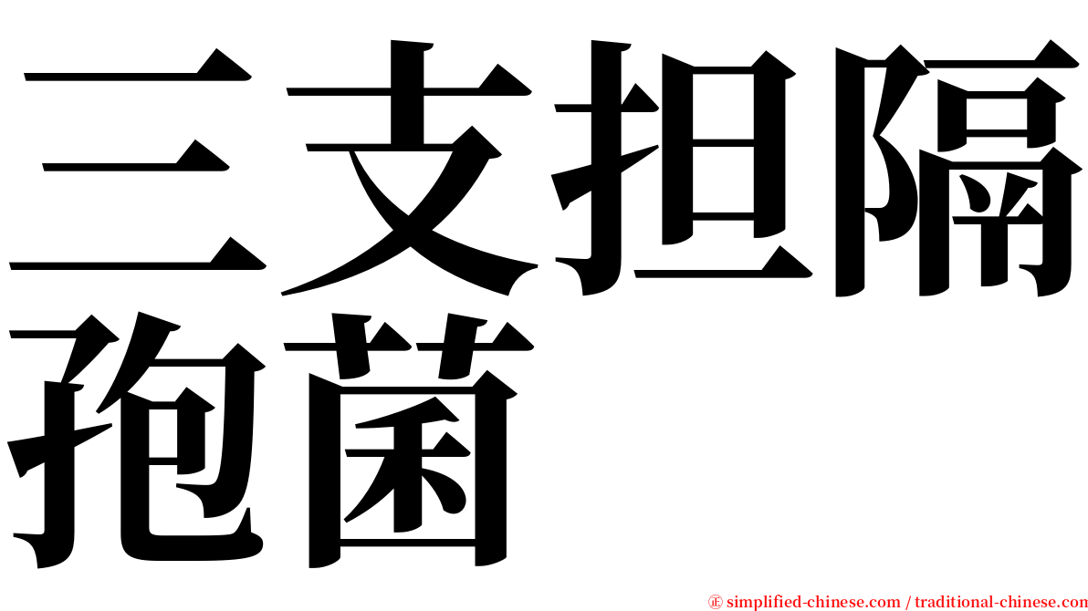 三支担隔孢菌 serif font